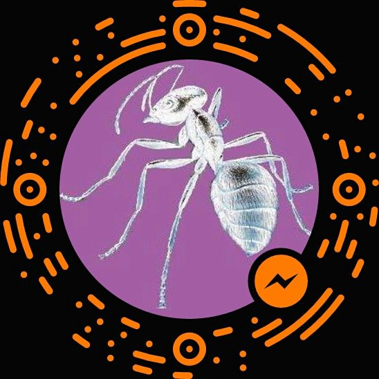 ez-pest-solutions-updated-august-2024-portland-maine-pest