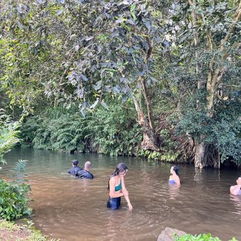 Kākoo Ōiwi - Cooling off in their freshwater pool after the workday IG: @ohmyono - Community Service/Non-Profit Near Me - Kaneohe, Hawaii Kākoo Ōiwi - Cooling off in their freshwater pool after the workday IG: @ohmyono - Community Service/Non-Profit Near Me - Kaneohe, Hawaii
