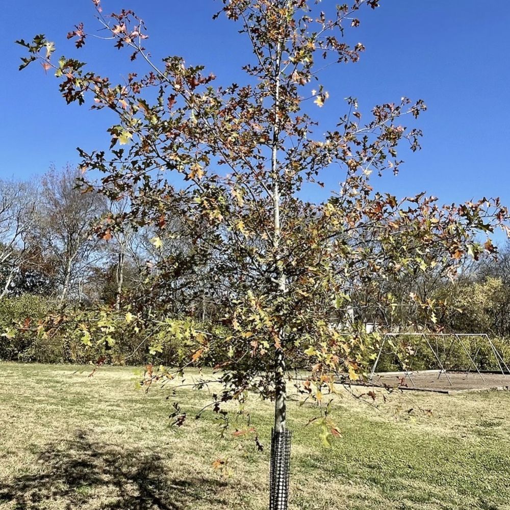 Green Hills Park - Parks Near Me - Nashville, Tennessee Green Hills Park - Parks Near Me - Nashville, Tennessee