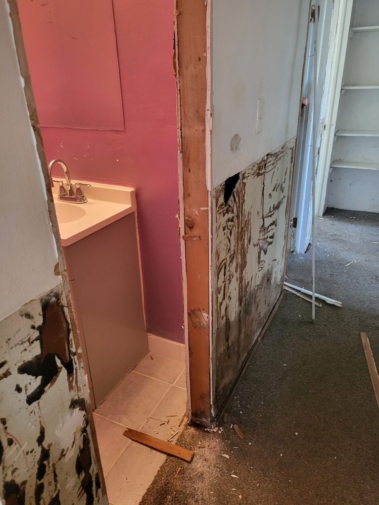 Slide of Everyday Handyman