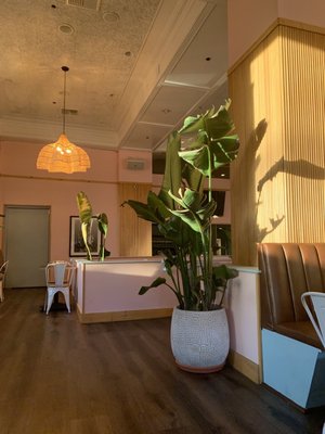 Birdcage Hollywood by null