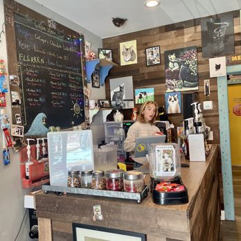 The Caffeinated Cat - Coffee & Tea Near Me - Jacksonville Beach, Florida