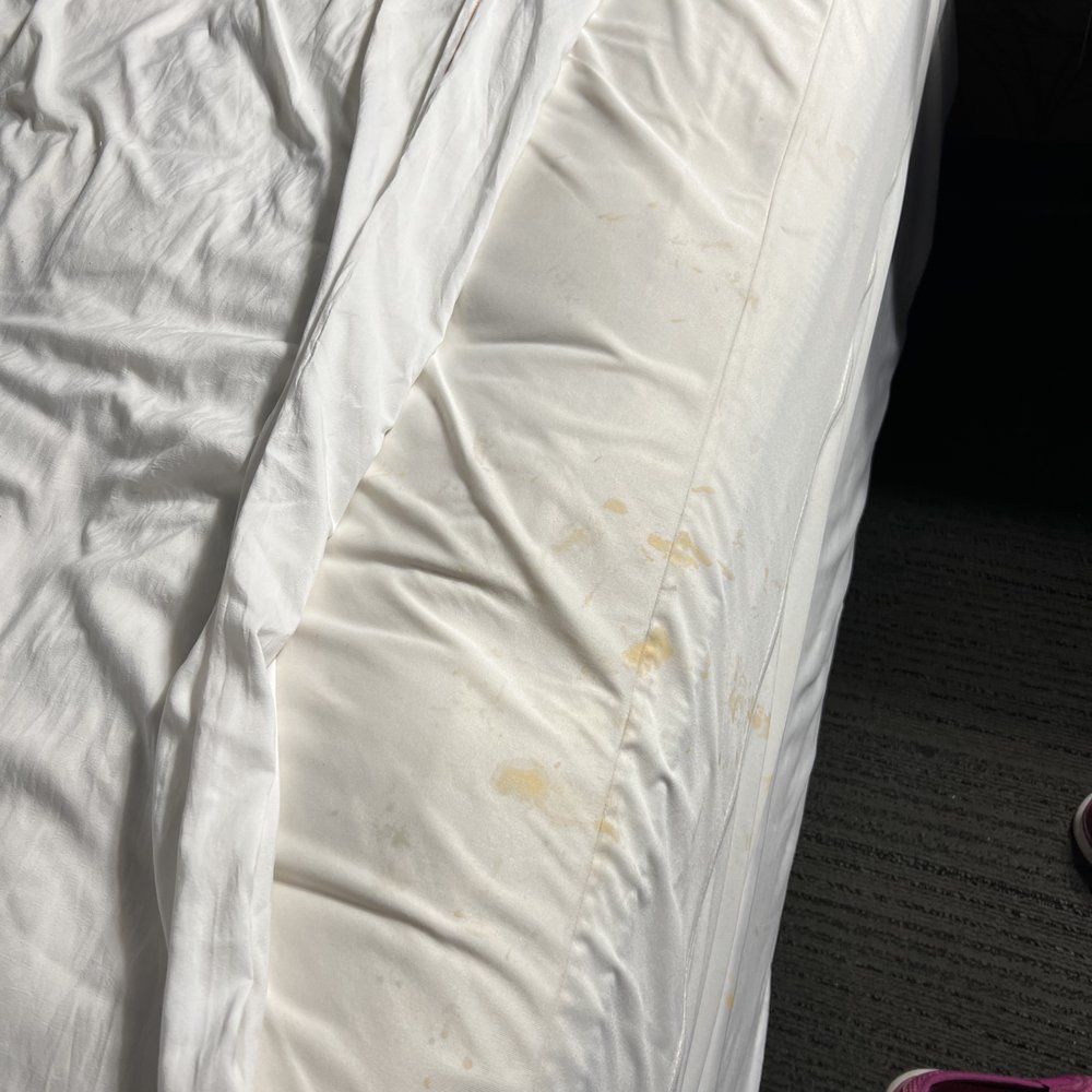 STAINS YUK STAINS YUK