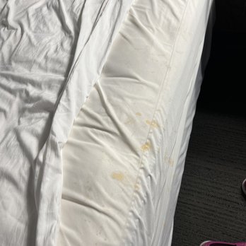 Home2 Suites by Hilton Florence, SC - STAINS YUK - Hotels Near Me - Florence, South Carolina Home2 Suites by Hilton Florence, SC - STAINS YUK - Hotels Near Me - Florence, South Carolina