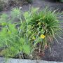 Photo of Salishan