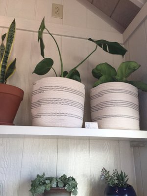 Southall Farm & Inn Farmstand by null