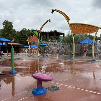 Zoo Knoxville - Splash pad next to the giraffes - Zoos Near Me - Knoxville, Tennessee
