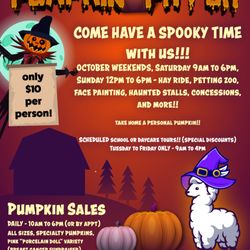 Pumpkin Patch at the Barn