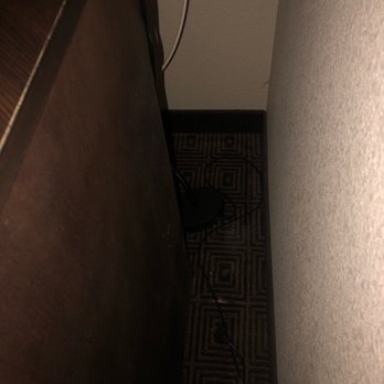 Hampton Inn & Suites Yonkers - Layers of dust hiding table lamp - Hotels Near Me - Yonkers, New York Hampton Inn & Suites Yonkers - Layers of dust hiding table lamp - Hotels Near Me - Yonkers, New York