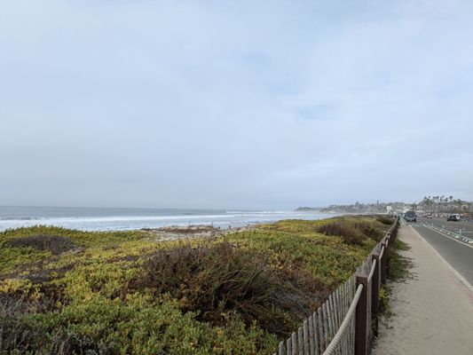 Cardiff State Beach by null