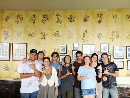 Big Island Bees by null