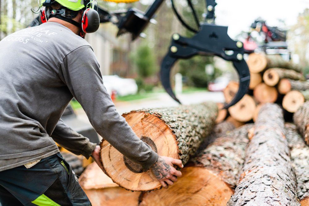 Broadleaf Tree and Shrub - tree service in Durham, NC