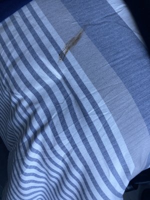 Catalina Island Vacation Rentals by null