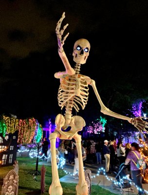 Reid Park Zoo by null