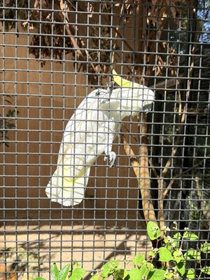 Kadoorie Farm and Botanic Garden by null