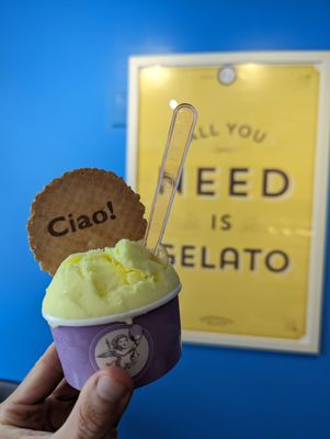 Gorgeous Gelato Portland by null