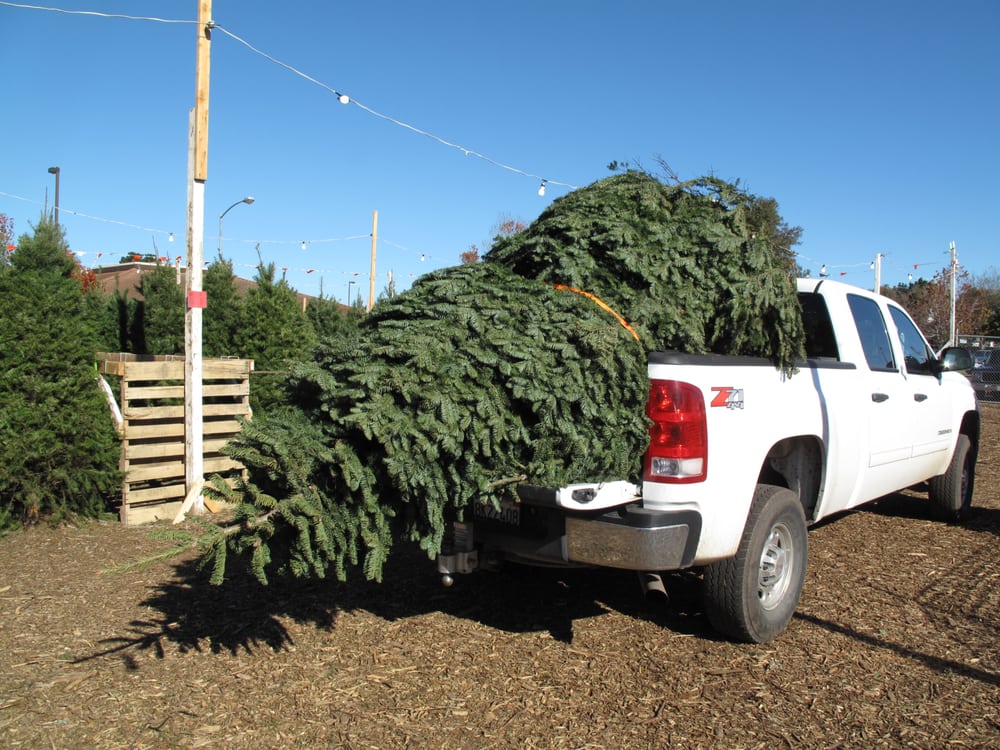 JENKINSON & SALA FAMILY CHRISTMAS TREES 39 Photos & 14 Reviews 1034 N Main St, Salinas, CA