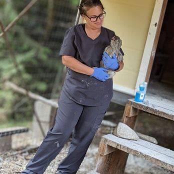 Sky Valley Pet Care - Pet Sitting Near Me Sky Valley Pet Care - Pet Sitting Near Me