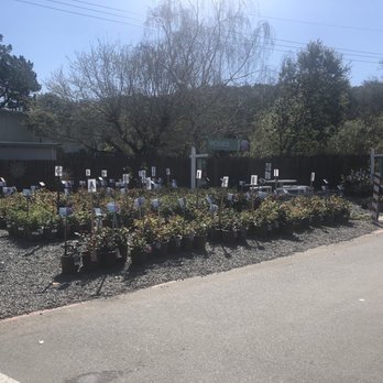Orchard Nursery - Nurseries & Gardening Near Me - Lafayette, California