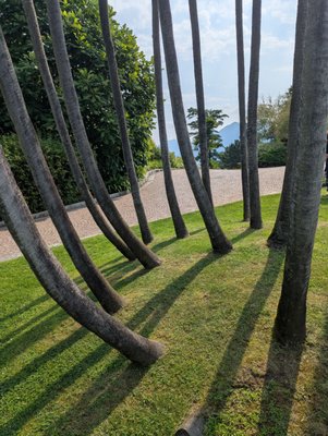 Giardini Botanici di Villa Taranto by null
