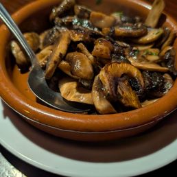 Mushrooms Mushrooms