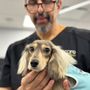 Photo of Williamsburg Veterinary Clinic
