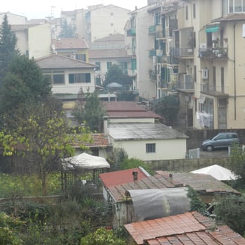 Cook Eat Italian - A view from the kitchen into the back yard. - Cooking Schools Near Me - Florence, FI Cook Eat Italian - A view from the kitchen into the back yard. - Cooking Schools Near Me - Florence, FI