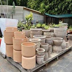 Yamaguchi Bonsai Nursery