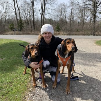 invisible fence mid state