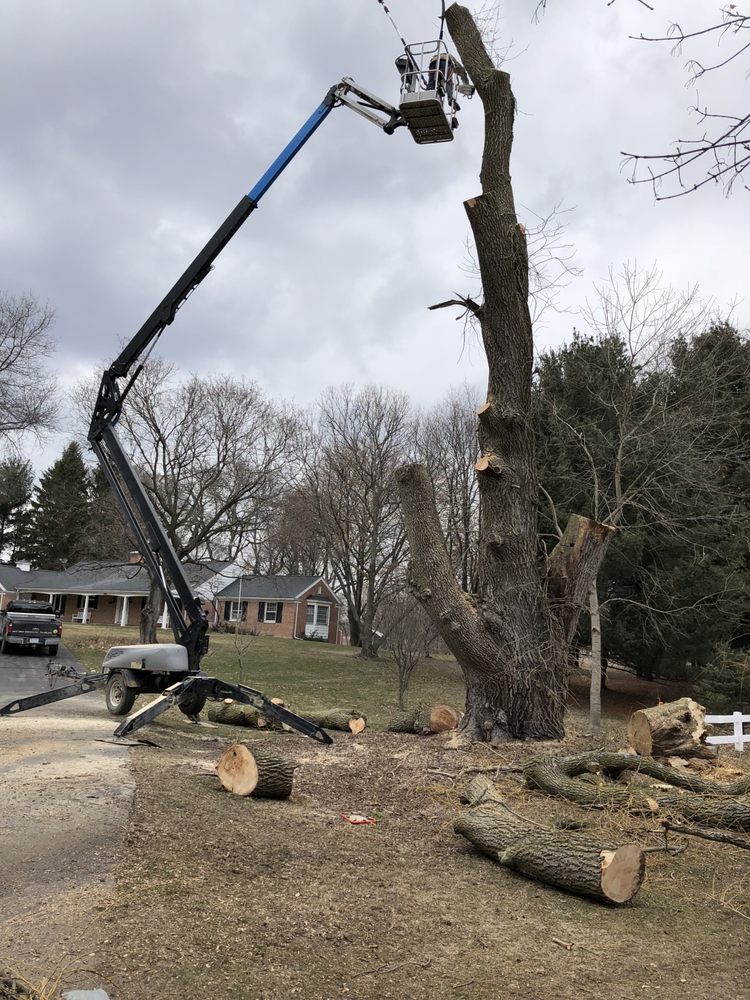 B & W TREE SERVICE Updated October 2024 15320 W M 36, Gregory