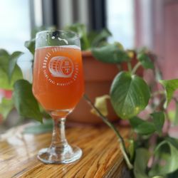 Barrel Theory Beer Company - Spotted Tiger (Sour 4.0%)