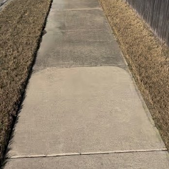 Mojo Pressure Washing & Home Services - Before and after (still drying) - Pressure Washers Near Me - Austin, Texas