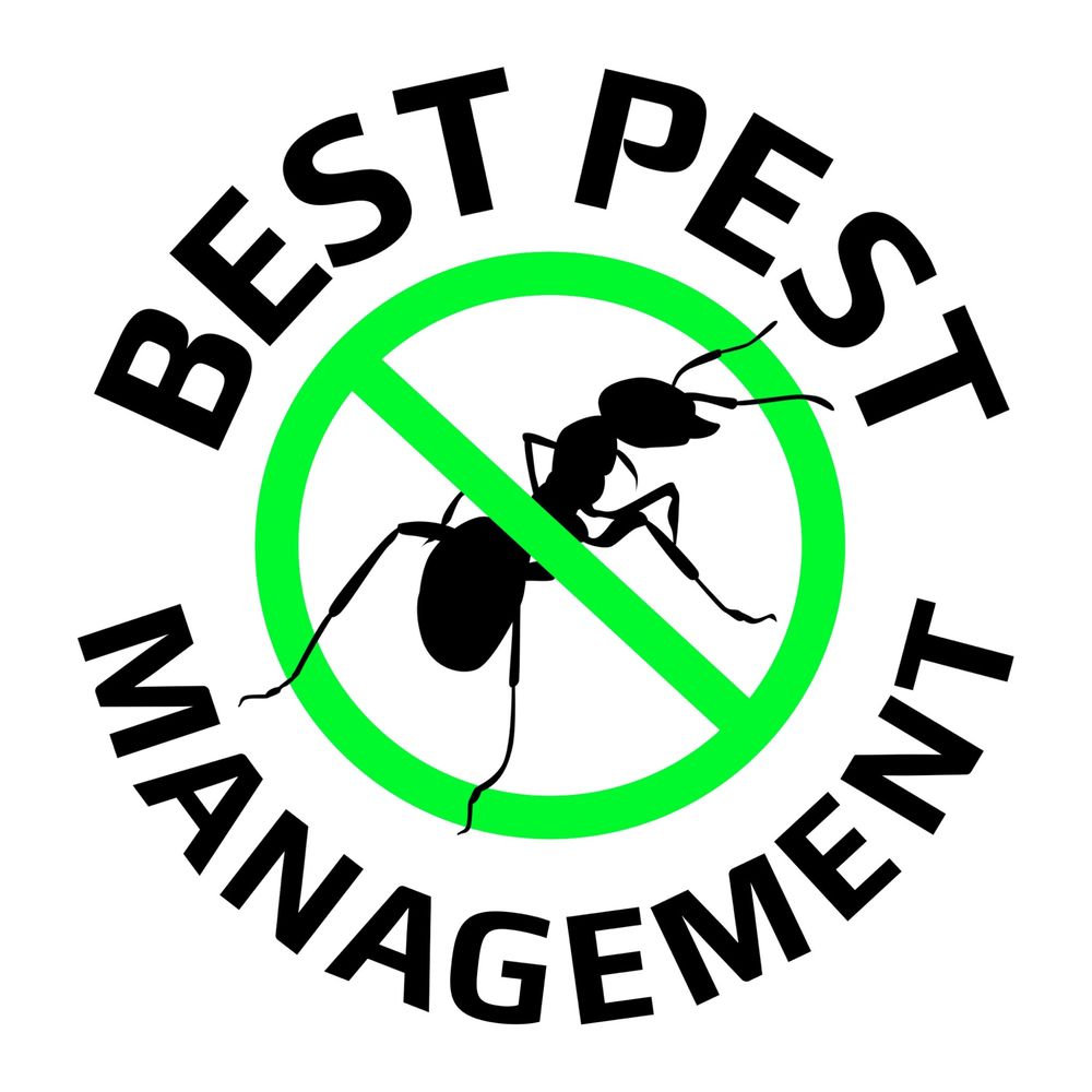 BEST PEST MANAGEMENT Updated July 2024 1122 Stoddard Ave, Modesto