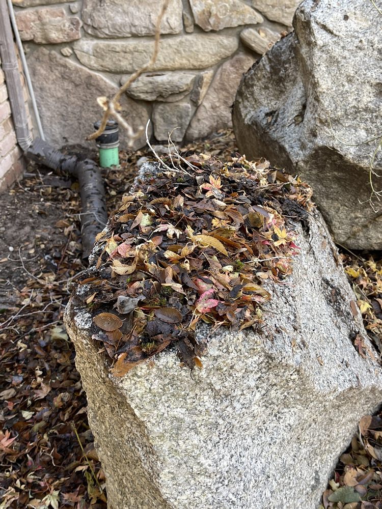 Slide of Hire Mikey's