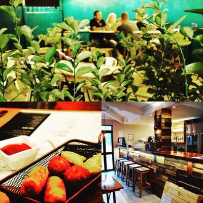 Spice Garden Eating House & Grill by null