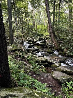 Rainbow Falls Trail by null