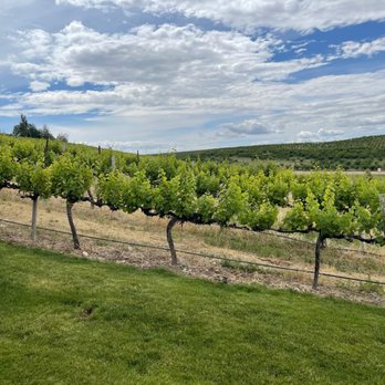 Ste. Chapelle Winery - Amazing grape s growing ! - Wineries Near Me - Caldwell, Idaho Ste. Chapelle Winery - Amazing grape s growing ! - Wineries Near Me - Caldwell, Idaho