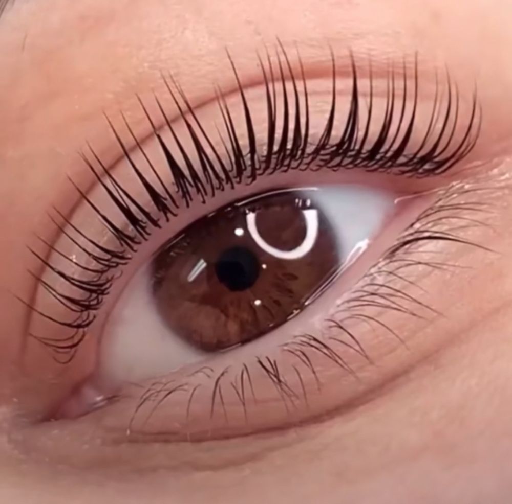 The Lash Lift Orange County Logo