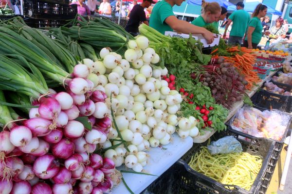 Fredericton Boyce Farmers Market by null