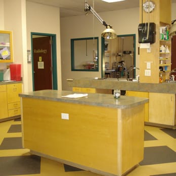 Neuse River Veterinary Hospital - Veterinarians Near Me - Wendell, North Carolina Neuse River Veterinary Hospital - Veterinarians Near Me - Wendell, North Carolina