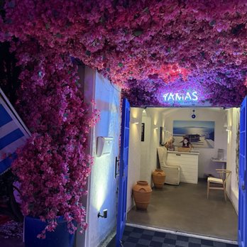 Yamas Greek Kitchen + Bar - Greek Near Me - Austin, Texas Yamas Greek Kitchen + Bar - Greek Near Me - Austin, Texas