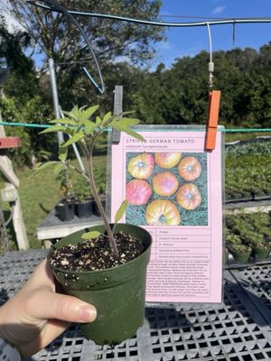 Little River Cooperative by null