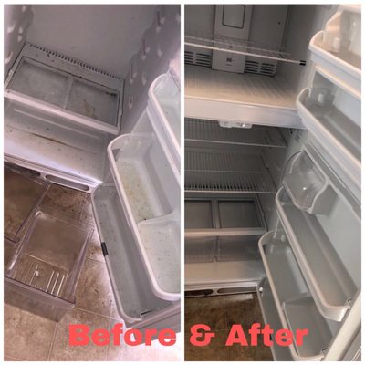 Fridge Cleaning Services - Your fridge will look, feel and smell brand new!