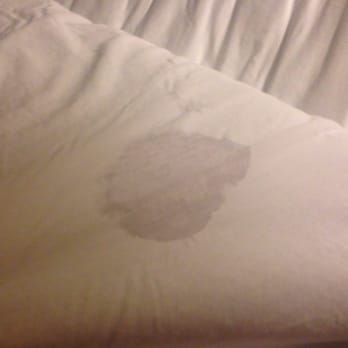 Best Western Plus Daphne Inn & Suites - Disgusting stain on my sheet! One of two I found ! - Hotels Near Me - Daphne, Alabama