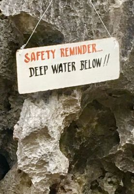 Barracuda Lake by null