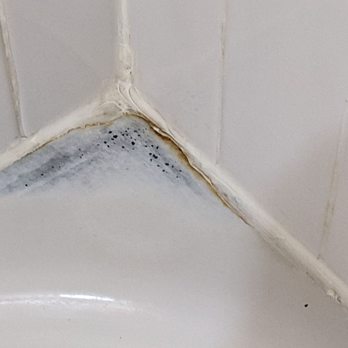 American Management - Mold in tub - Property Management Near Me - Baltimore, Maryland American Management - Mold in tub - Property Management Near Me - Baltimore, Maryland
