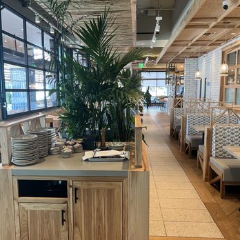 Pacific Catch - Seafood Near Me - Santa Monica, California Pacific Catch - Seafood Near Me - Santa Monica, California