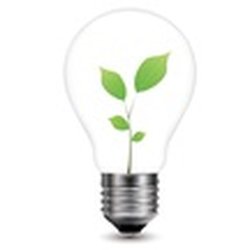 Bulb Switch Electric