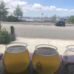 House of Funk Brewing