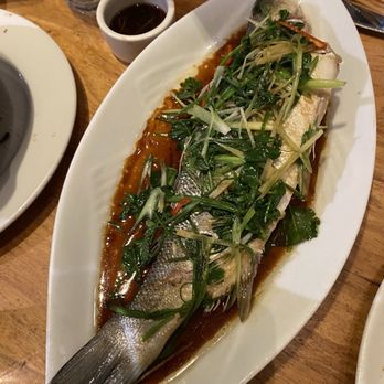 China Live - Steamed fish - Chinese Near Me - San Francisco, California China Live - Steamed fish - Chinese Near Me - San Francisco, California